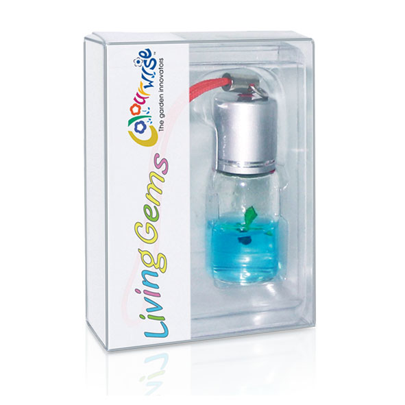 浙江PET圆筒定制